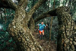 BIB: 
                            <button type="button" onclick="openModal(25392634)" class="btn btn-primary btn-sm float-right btn-popup" data-toggle="modal" data-target=".modal-high-quality">
                        <i class="fas fa-shopping-cart"></i> Add to Cart
                    </button>
                                            <button type="button" onclick="isThisMe(25392634, true)" class="btn btn-success btn-sm float-right btn-popup btn-isme hidden" data-toggle="tooltip" data-placement="bottom" title="นี่คือรูปของคุณใช่ไหม คลิกที่นี่เพื่อเอาเข้าอัลบั้ม">
                        <i class="fas fa-plus"></i> Add to album
                    </button>
                    <button type="button" onclick="isThisMe(25392634, false)" class="btn btn-warning btn-sm float-right btn-popup btn-isnotme hidden">
                        <i class="fas fa-ban"></i> Remove from album
                    </button>